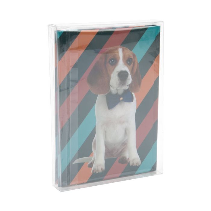 Boites cadeau plastique à transparence cristalline 13x2.5x18.1cm (25 pièces) [FPB168]