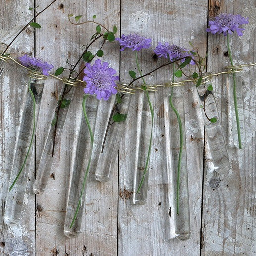 Tube à essai en verre de 1,5 cm de diamètre et de 10 cm de hauteur, avec anneau (lot de 12 pièces) [IFS-29201]