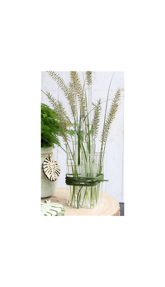 Tube à essai en verre de 1,5 cm de diamètre et de 10 cm de hauteur, avec anneau (lot de 12 pièces) [IFS-29201]