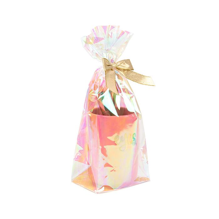 Soufflet à fond plat avec insertion de papier Iridescent 12,7x7,6x30,5cm (50 pièces) [HFGPB1]