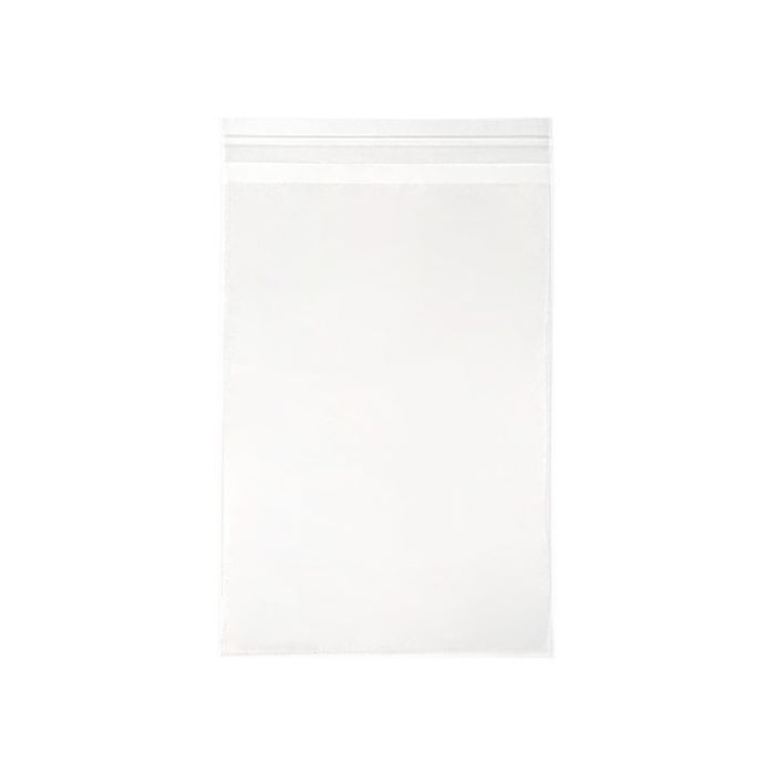 Sachet Plastiques 21.3x30.3cm Transparent et Refermable (100 pcs) [KO-30159]