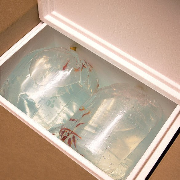 Sac à fond carré Qualité Supérieure 40.6x20.3x55.9cm (100 pièces) [3GSBW6]