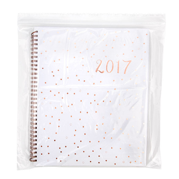 Sac zip transparents en polyéthylène basse densité 30,5x30,5cm (100 Pièces) [2PE1212]