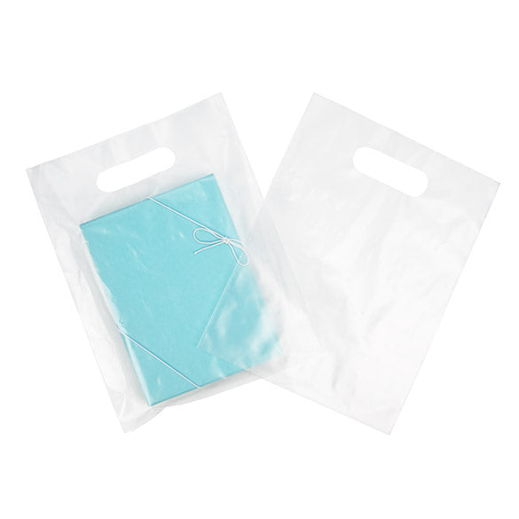 Sac à Poignée Givré 20% Contenu Recyclé 22,9 x 30,5 cm (100 Pièces) [H912FT1R]