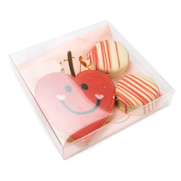 Boîtes cadeau plastique à transparence cristalline en rPET 13x2,5x12,9 cm (25 pcs) [FB47R]