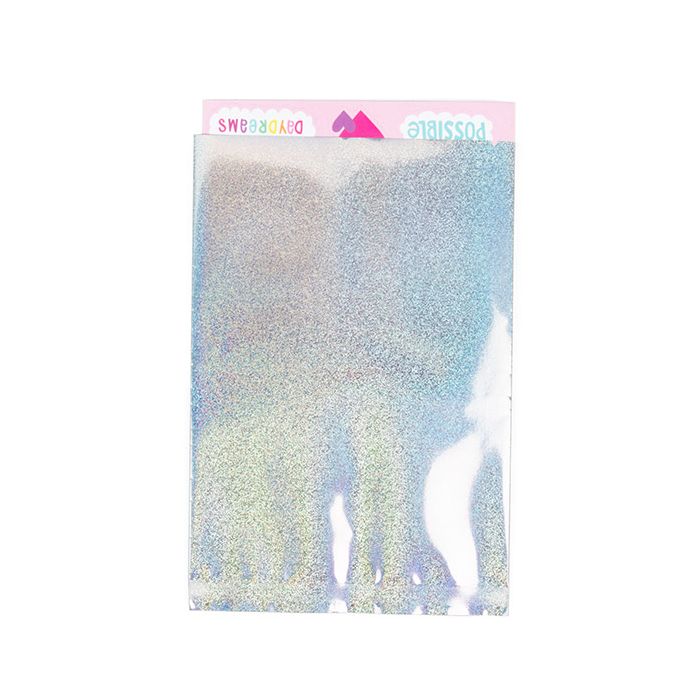 Sachet plastique Paillettes Holographique 10,2x15,2 cm (25 pièces) [SVP46HG]