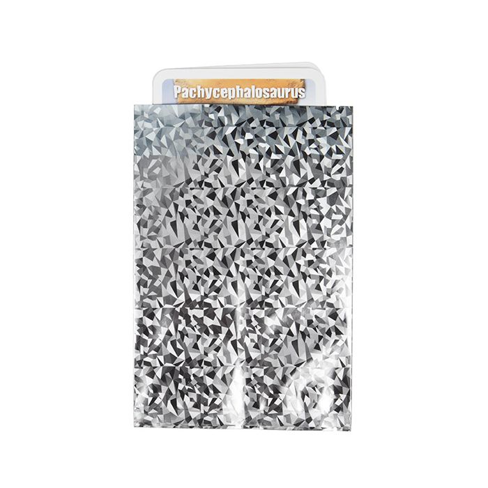 Sachet plastique Glace Holographique 10,2x15,2 cm (25 pièces) [SVP46HI]