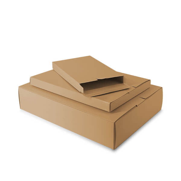 Carton pour Colis 16 x 25 x 2,9 cm Marron (100 pcs) [FP-VPD007]