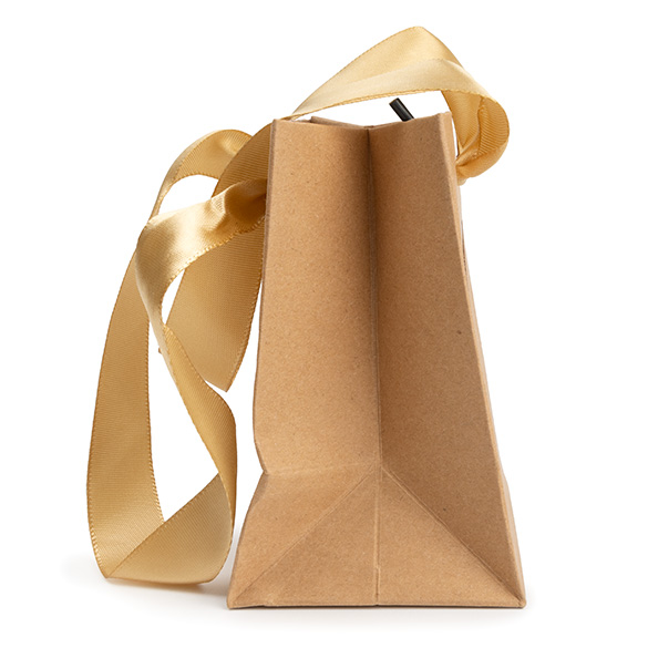 Sacs cadeaux kraft avec fenêtre 10,2x7x11,4 cm (10 pcs) [GMBW1K]