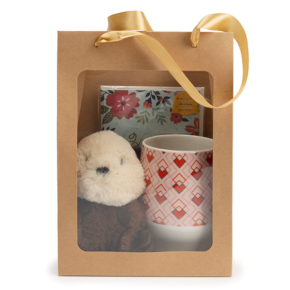 Sacs cadeaux kraft avec fenêtre 17,8x12,7x24,9 cm (10 pcs) [GMBW2K]