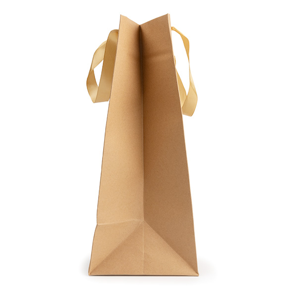 Sacs cadeaux kraft avec fenêtre 24,9x15,2x35,1 cm (10 pcs) [GMBW3K]