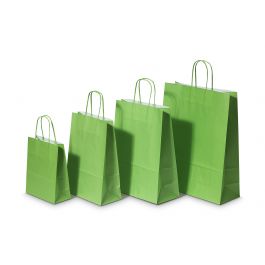 Sac à poignées en Papier Vert Papier Kraft 90 gram 18+8x22cm (50 pièces) [PAM1822GR]