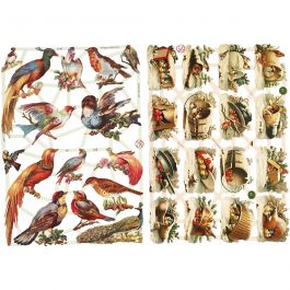 Découpes vintage, oiseaux, feuille 16,5x23,5 cm, 2 flles/ 1 Pq. [HOB-19361]