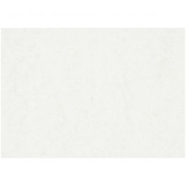 Papier aquarelle, A2, feuille 420x594 mm, 200 gr, blanc, 100 flles/ 1 Pq. [HOB-22404]
