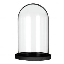 Cloche en verre avec base en bois noir Ø17cm (1 pièce.) [IFS-29825]