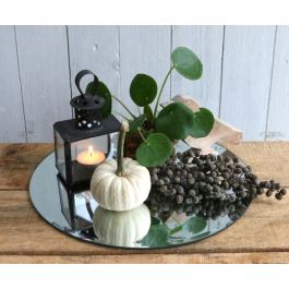 Plateau miroir rond Ø 50cm à bord biseauté (1 pièce) [IFS-30203]