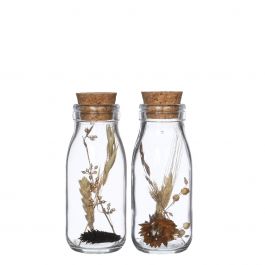 Bouteille de lait avec plusieurs fleurs séchées naturelles 14cm de haut (12 pièces.) [IFS-30391]