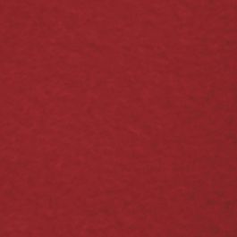 Polaire, L : 125 cm, L : 150 cm, 200 gr, rouge, 1 pièce [HOB-44624]