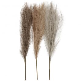 Herbe de la pampa, L : 50 cm, beige clair, brun clair, gris clair, 3 pièces/ 1 boule [HOB-50205]