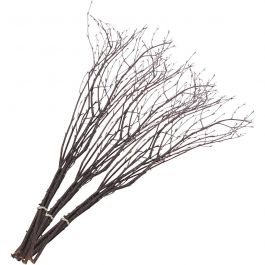 Branches de bouleau, L : 50-60 cm, 20 pièces/ 1 Pq. [HOB-50240]