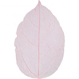Squelettes de feuilles, L : 6-8 cm, rose clair, 20 pièces/ 1 Pq. [HOB-504496]