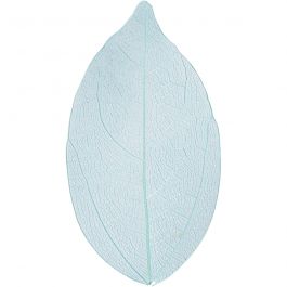 Squelettes de feuilles, L : 6-8 cm, bleu clair, 20 pièces/ 1 Pq. [HOB-504498]