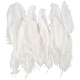 Plumes d'Oie Blanches, dim. 10-18, blanc, 70 pièces/ 1 sac [HOB-51674]