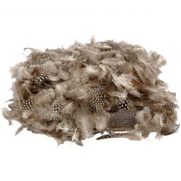 Plumes de pintade, naturel, 50 gr/ 1 Pq. [HOB-51822]