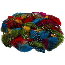 Plumes de pintade, ass. de couleurs, 50 gr/ 1 Pq. [HOB-51823]