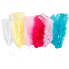 Plumes, L : 11-17 cm, ass. de couleurs, 18 boule/ 1 Pq. [HOB-518490]