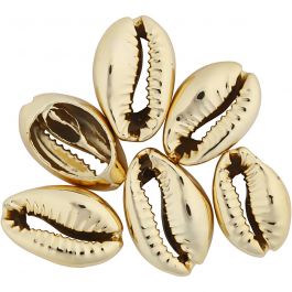 Coquillage, L : 20 mm, doré, 6 pièces/ 1 Pq. [HOB-61017]
