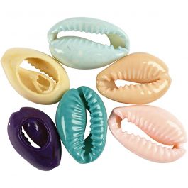 Coquillage, L : 20 mm, ass. de couleurs, 6 pièces/ 1 Pq. [HOB-61018]