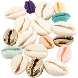 Coquillage, L : 20 mm, ass. de couleurs, 75 pièces/ 1 Pq. [HOB-61019]