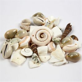 Coquillages de plage, dim. 9-40 mm, diamètre intérieur 1-1,5 mm, 120 gr/ 1 Pq. [HOB-631881]