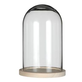Dôme en verre avec base en bois Ø 17cm et 25 cm de hauteur (1 pièce) [IFS-29425]
