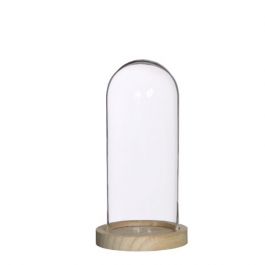 Dôme en verre avec base en bois Ø 10cm et 20 cm de hauteur (1 pièce) [IFS-29429]