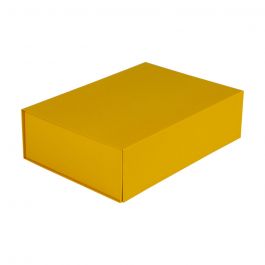 Boite Aimantée 35 x 25 x 10 cm Ocre Yellow (25 pcs) [FP-VPD132]