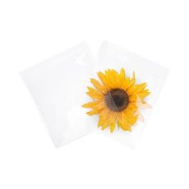 Sachet plastique plat grand format 21,4x21cm Transparent et Scellable sans Rabat (100 pièces) [B8X8NF]