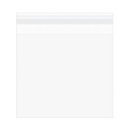 Sachet plastique laminés à transparence cristalline avec rabat sécurisé 15.3x22.9cm (100 pièces) [PL6X9S]