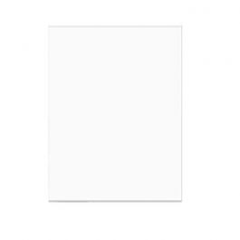 Sachet plastique plat grand format 51,9x62cm Transparent et Scellable sans Rabat (100 pièces) [B20NF]