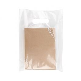 Sac à poignée transparent 20% de contenu recyclé 22,9x30,5cm (100 pièces) [H912CL1R]