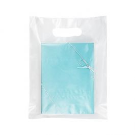 Sac à Poignée Givré 20% Contenu Recyclé 22,9 x 30,5 cm (100 Pièces) [H912FT1R]