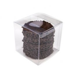Boites cadeau rPET plastique à transparence cristalline 10.2x10.2x10.2 cm (25 pièces) [FB56R]