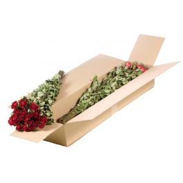 Fleurs Séchées Roses spray Naturelles Rouge (1 Paquet) [RU-01595.000.9]